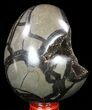 Septarian Dragon Egg Geode - Black Crystals #57426-1